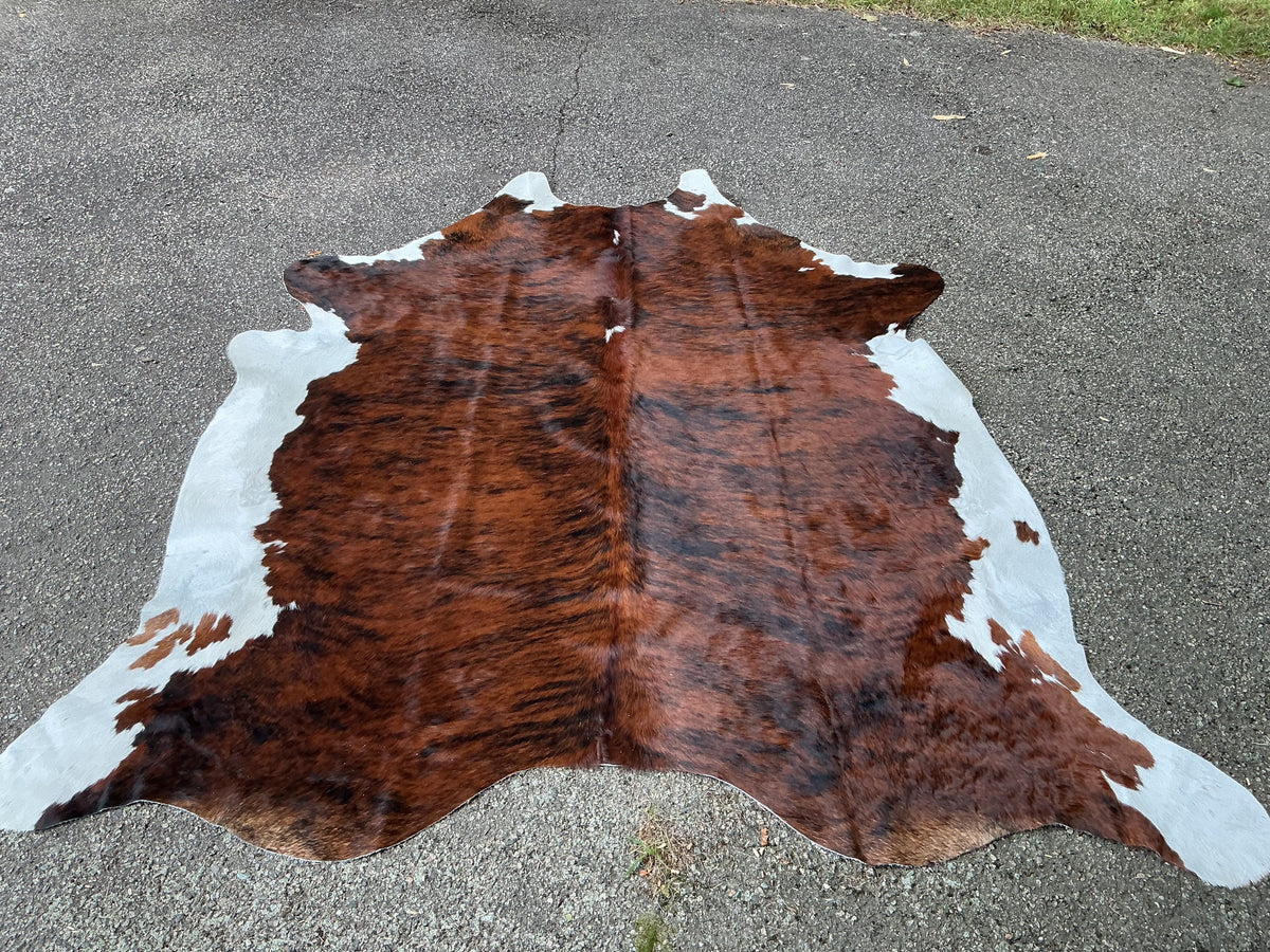 XXL tricolor brindle cowhide rug in warm brown with white belly - MRI-0819