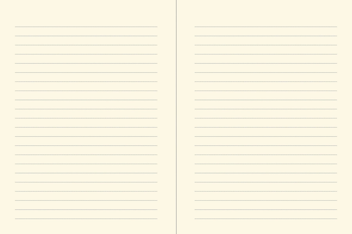 Orange Fairy Journal