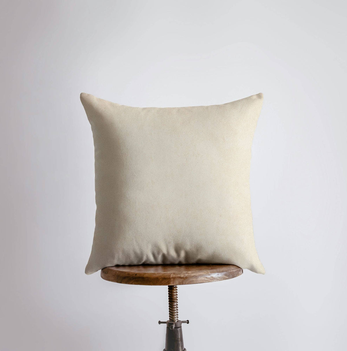 Vintage Style Rabbit Down Pillow 12x12