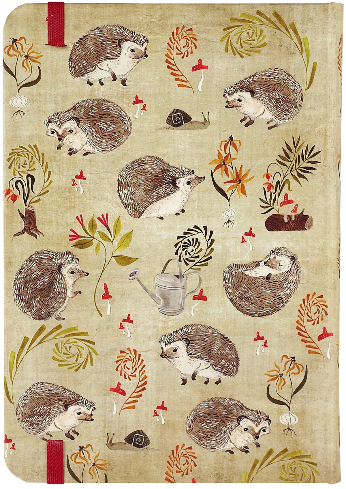 Hedgehogs Journal