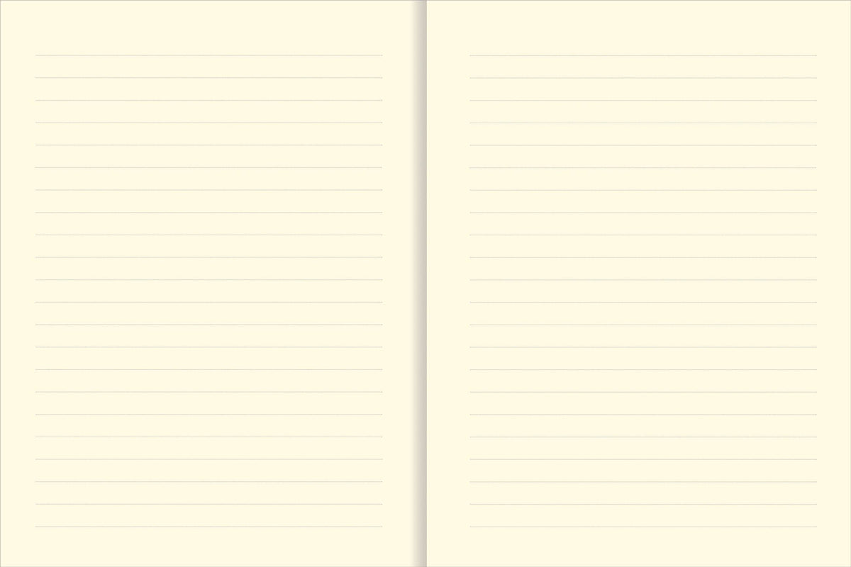 The Universe Journal