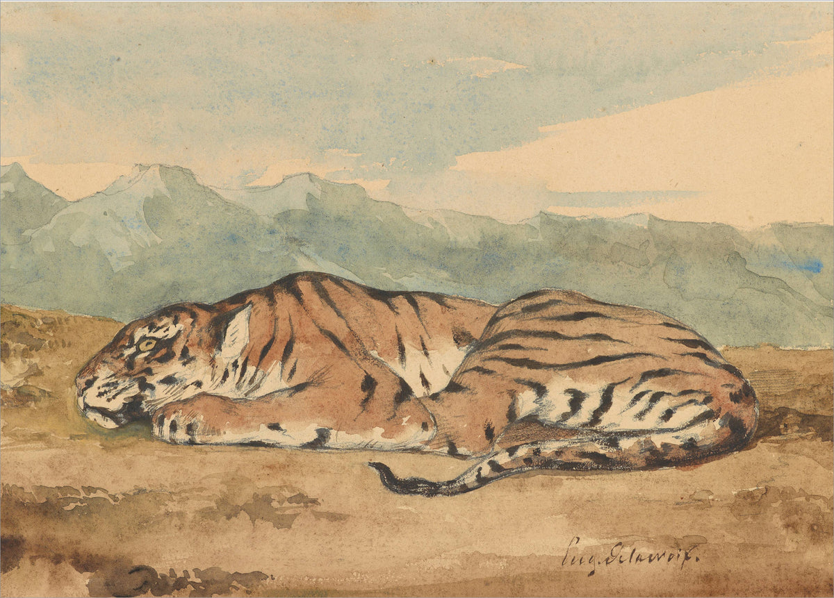 Royal Tiger, C 1800'S