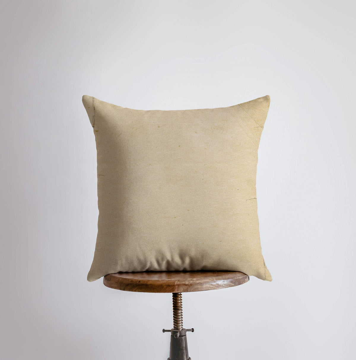 Fox Postcard Pillow